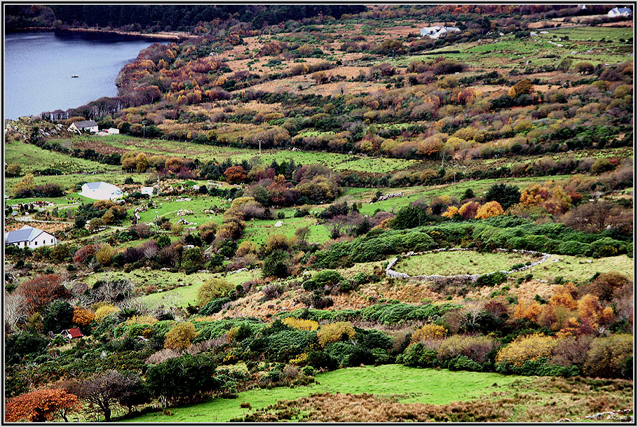 Steinfort am Healy Pass....