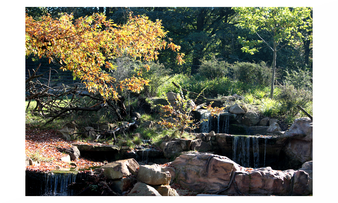 Steingarten im Allwetterzoo Münster