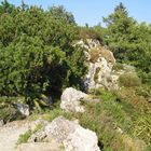 Steingarten im Botanischen Garten München