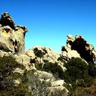 Steingeister von Sardinien