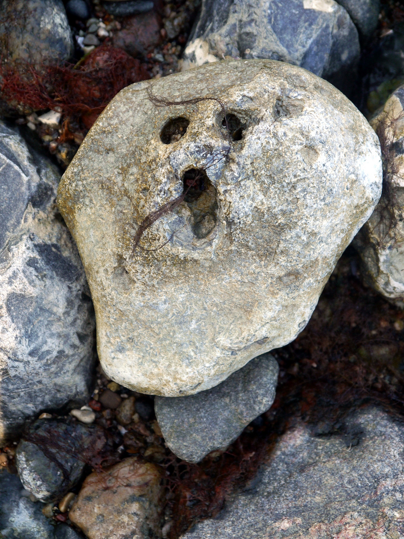 Steingesichter am Strand 2