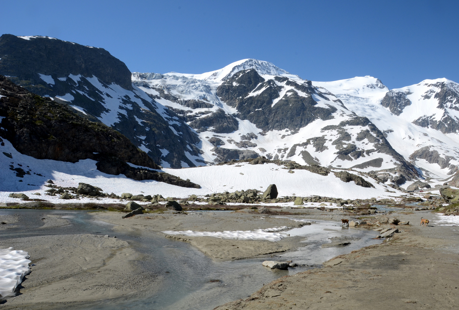 Steingletscher 2