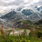 Steingletscher