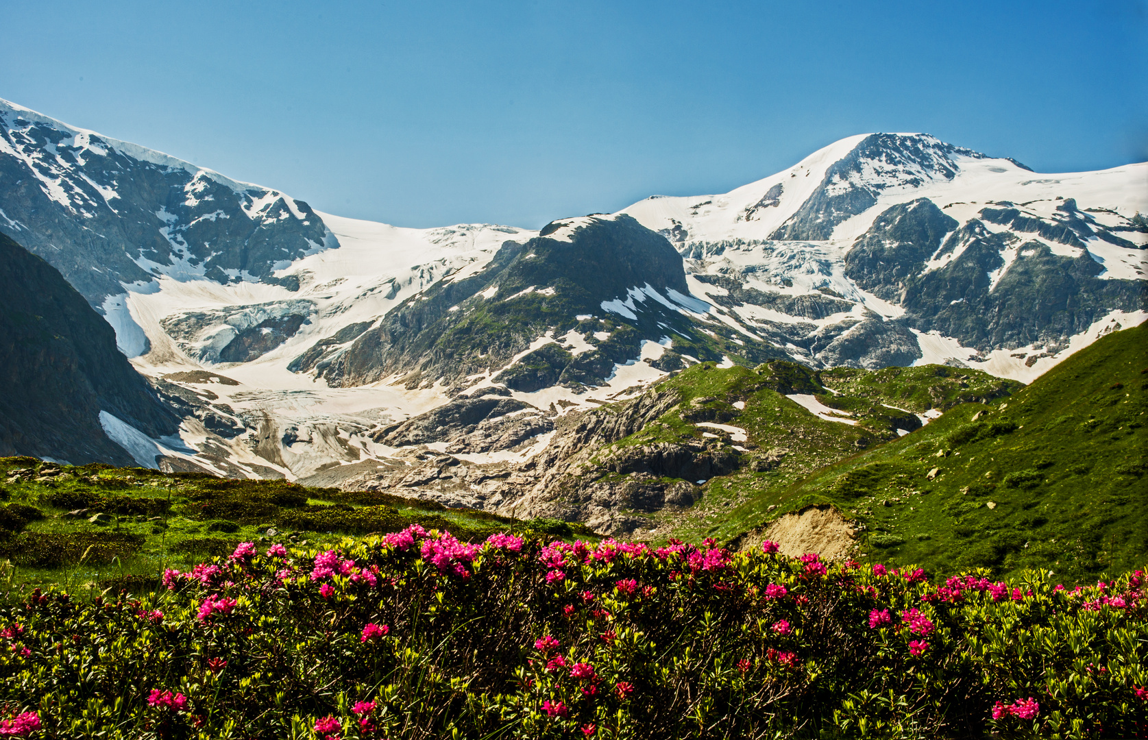 Steingletscher am Sustenpass...