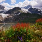 Steingletscher