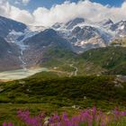 Steingletscher