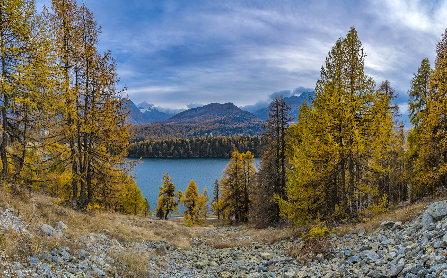 Steinhalde und Lärchen