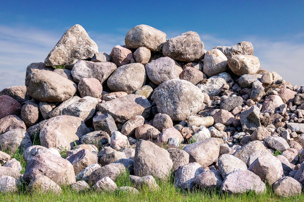 Steinhaufen fördern Artenvielfalt