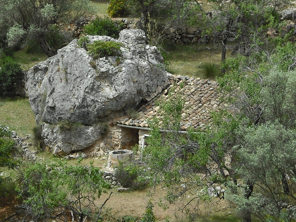 Steinhaus im Olivenhain