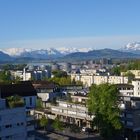 Steinhausen mit Alpen