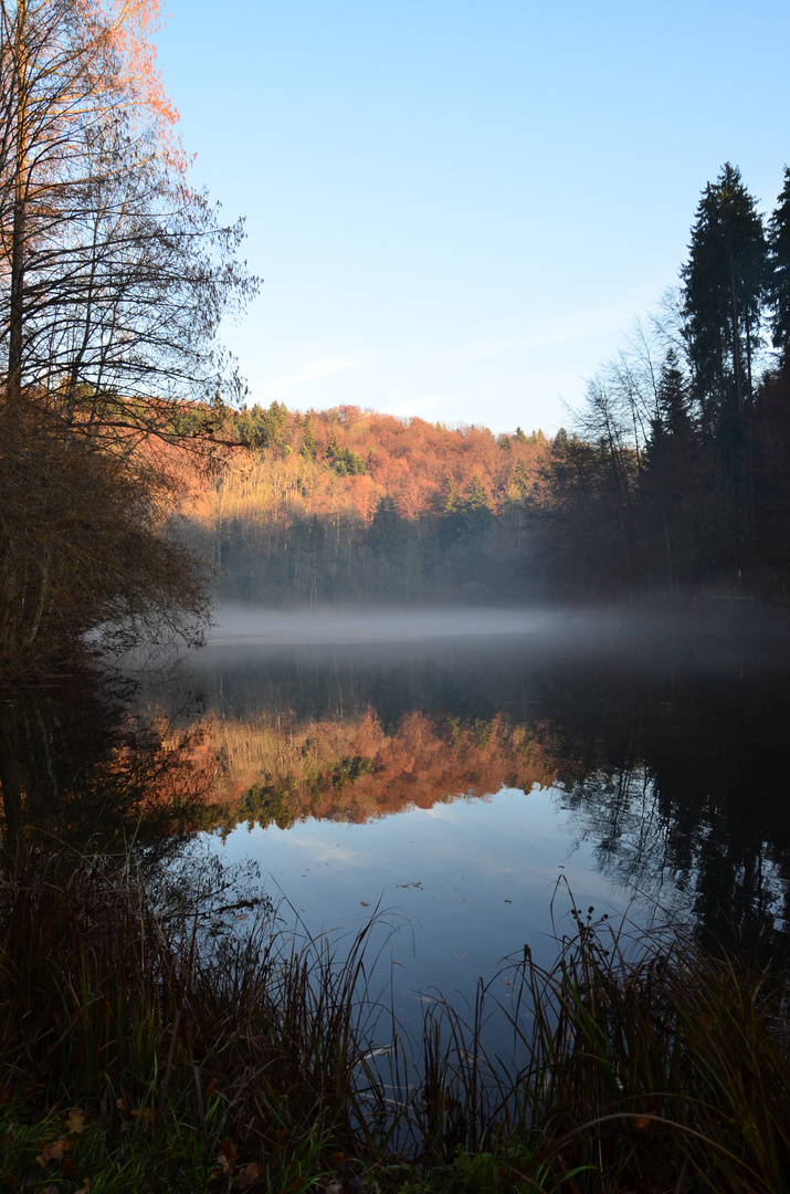 Steinhauser Waldsee