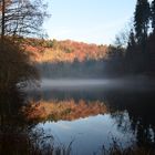 Steinhauser Waldsee