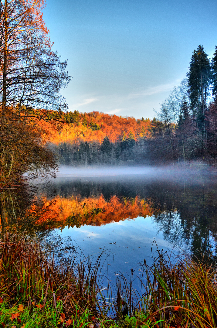 Steinhauser Waldsee