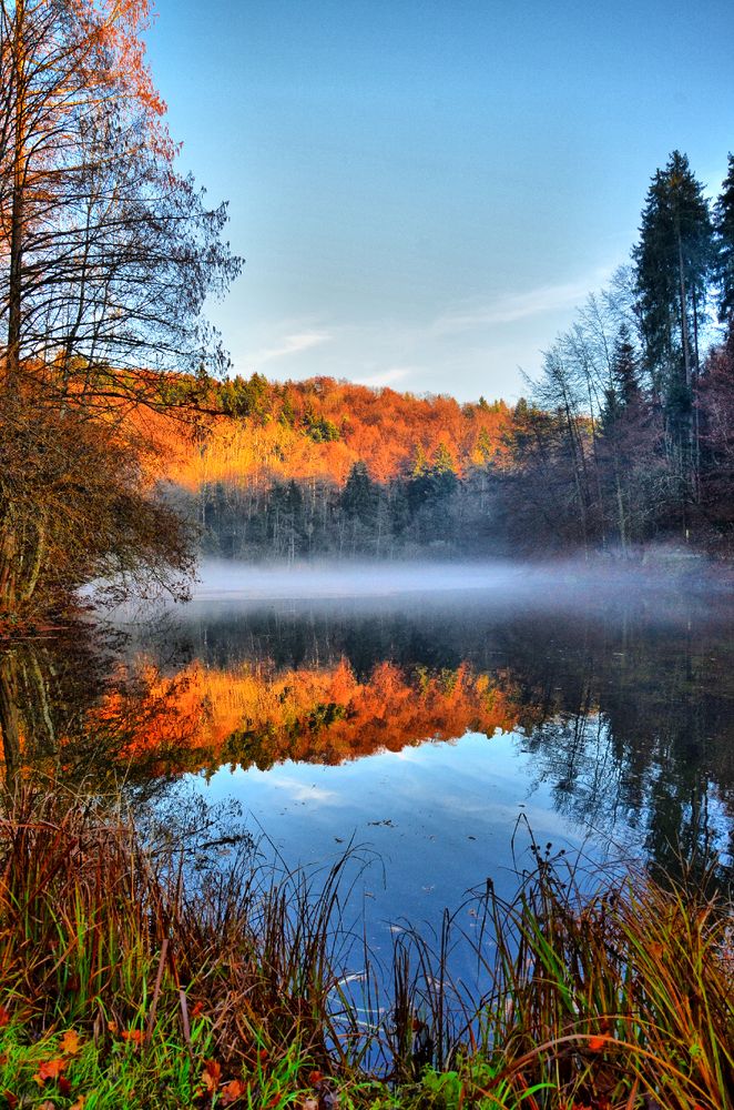 Steinhauser Waldsee mit Nebel von modern-pix.ch