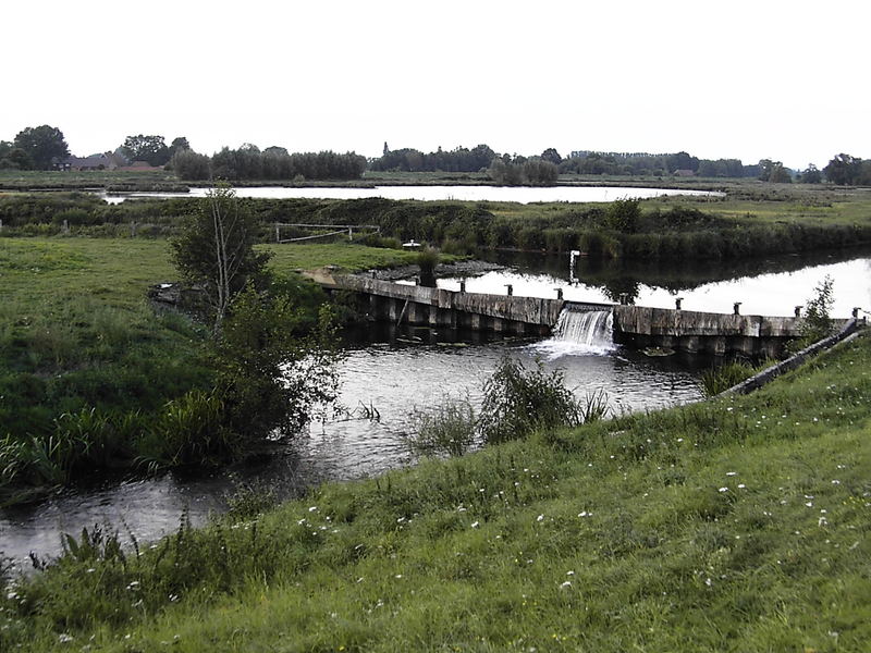 Steinhorster Börde Spätsommer 2006