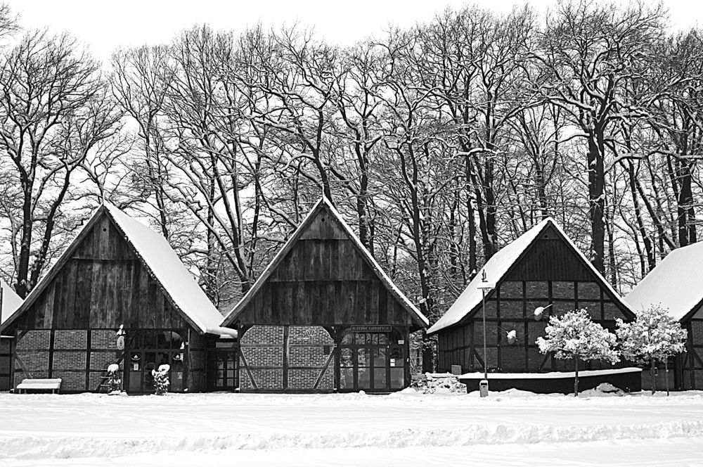 Steinhude - Scheunenviertel im Winter