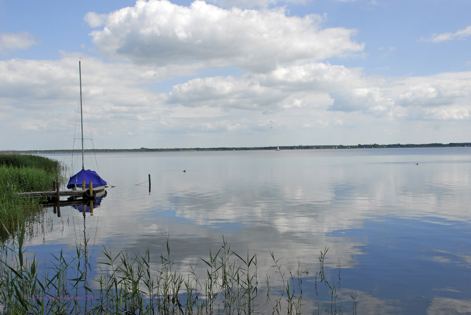 Steinhuder Meer 2