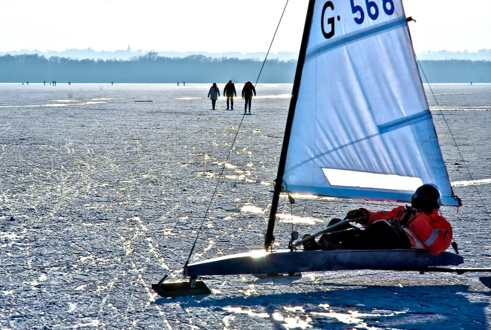 Steinhuder Meer 2010 