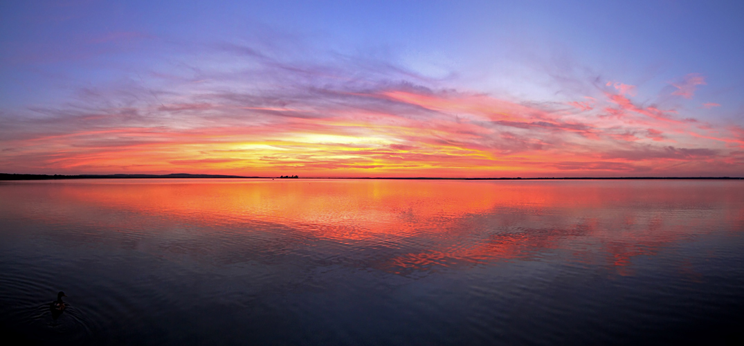 Steinhuder Meer