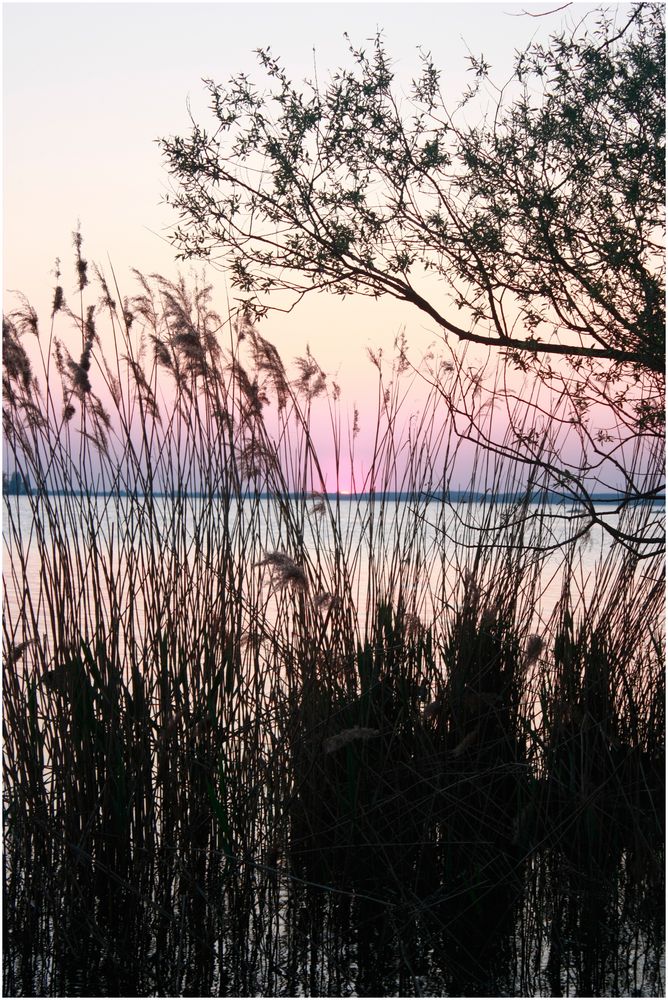 Steinhuder Meer von Icee 