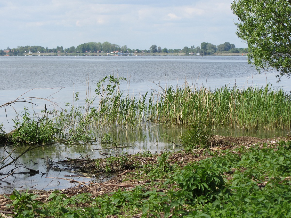 Steinhuder Meer