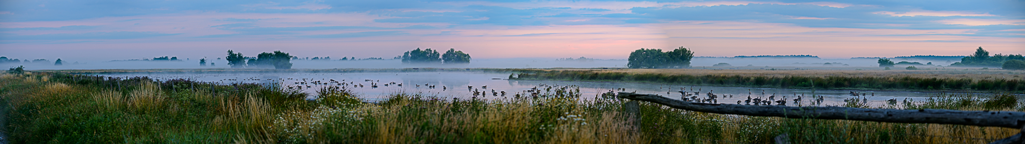 Steinhuder Meer