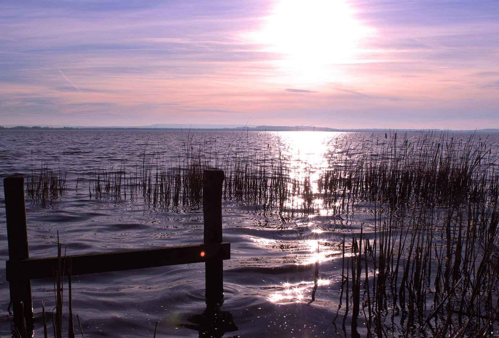 Steinhuder Meer