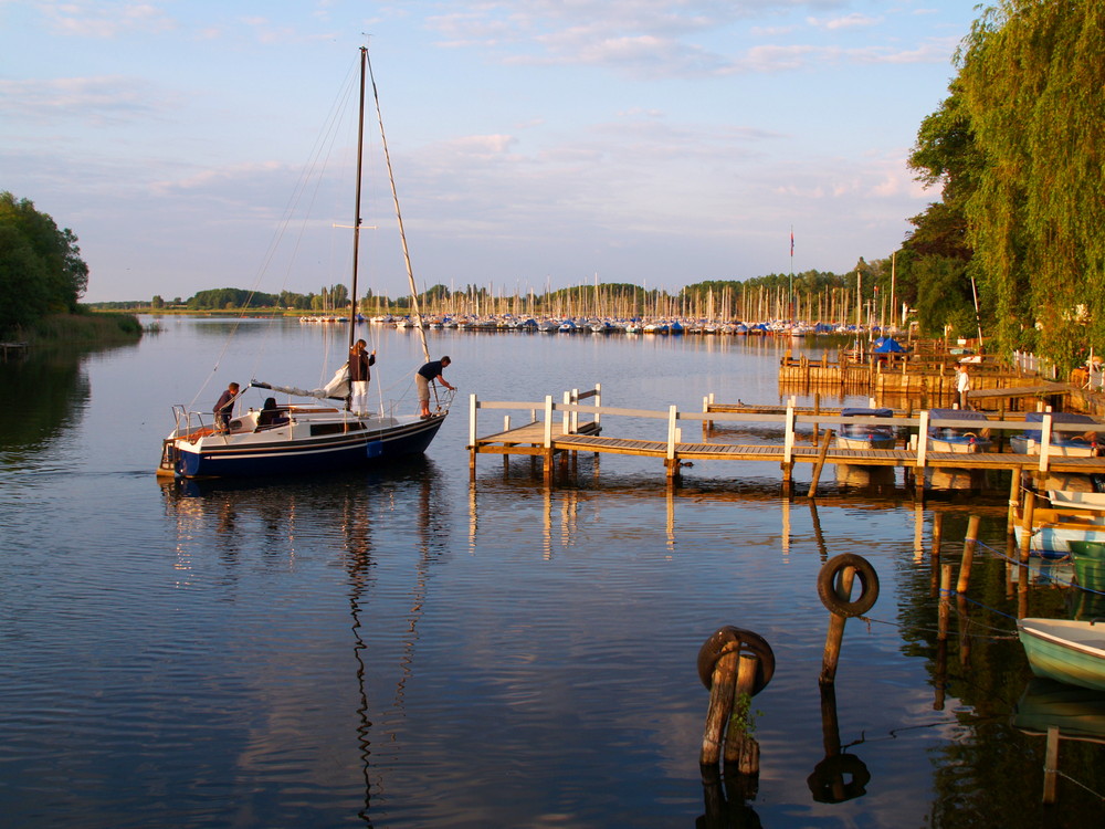 Steinhuder Meer 6