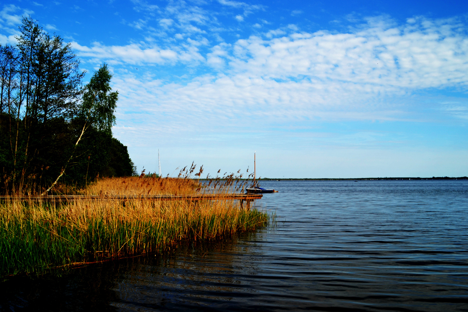 Steinhuder Meer