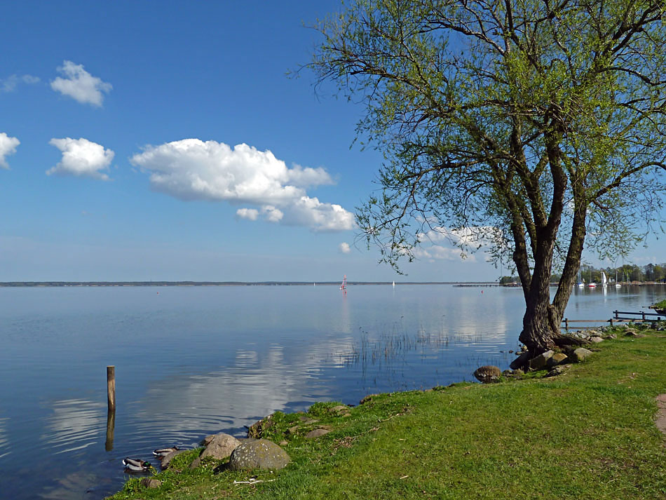 Steinhuder Meer