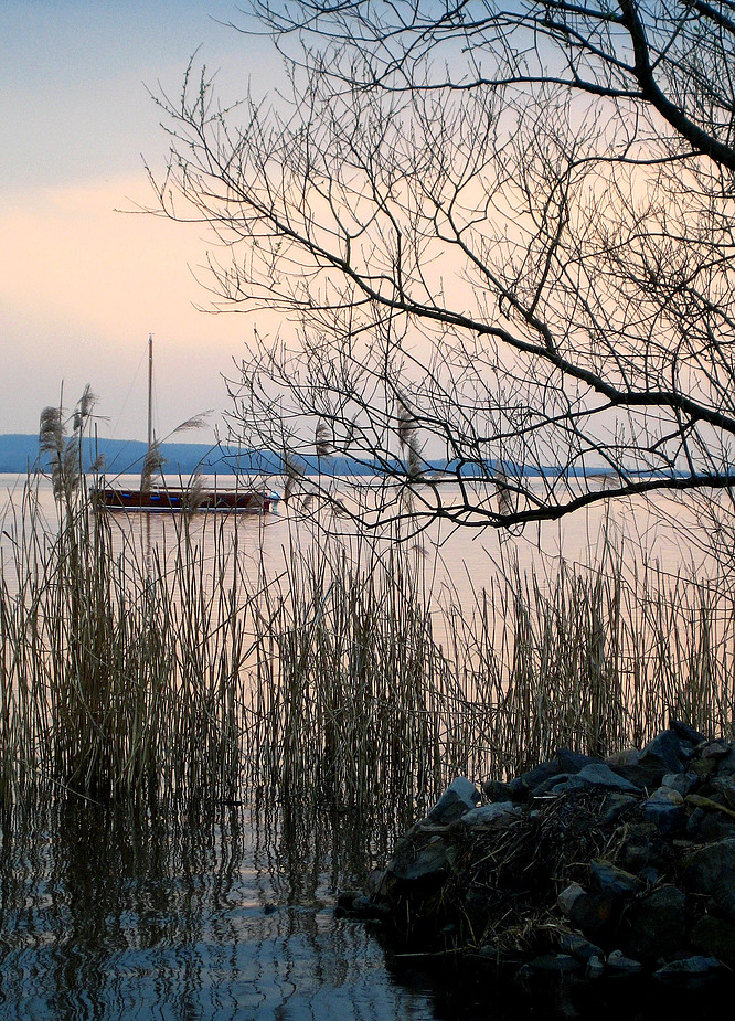 Steinhuder Meer