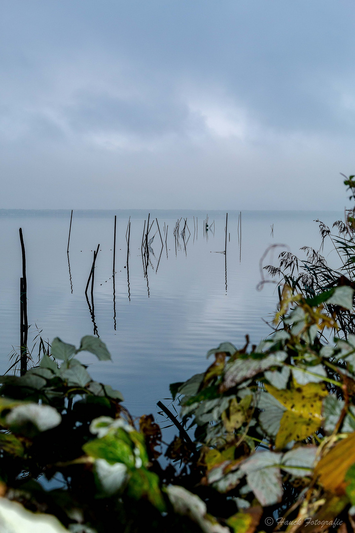 Steinhuder Meer