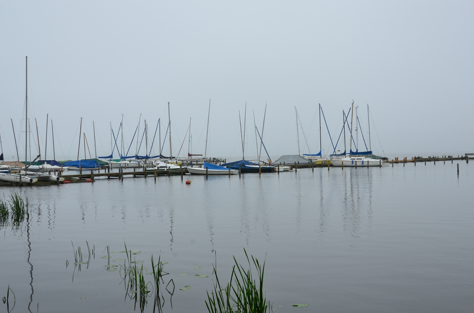 Steinhuder Meer