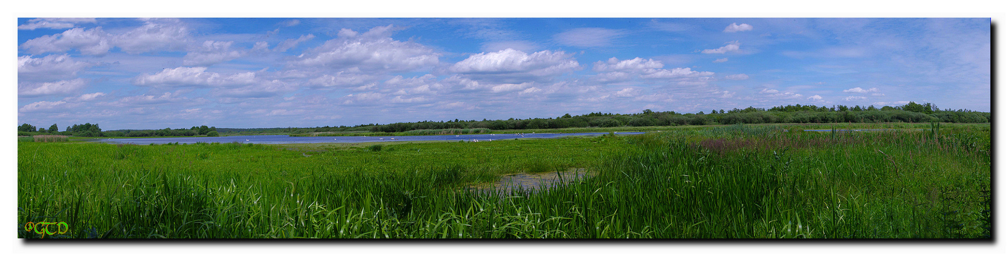 Steinhuder Meer