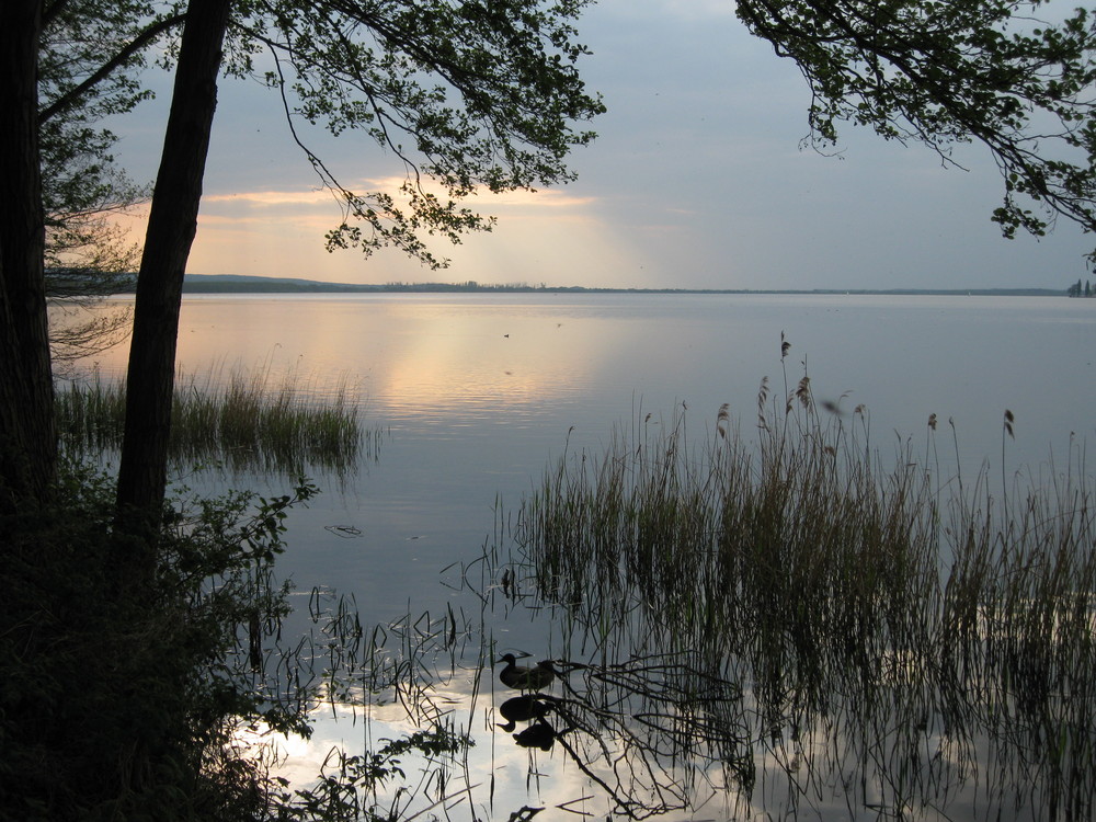 Steinhuder Meer / Abenddämmerung