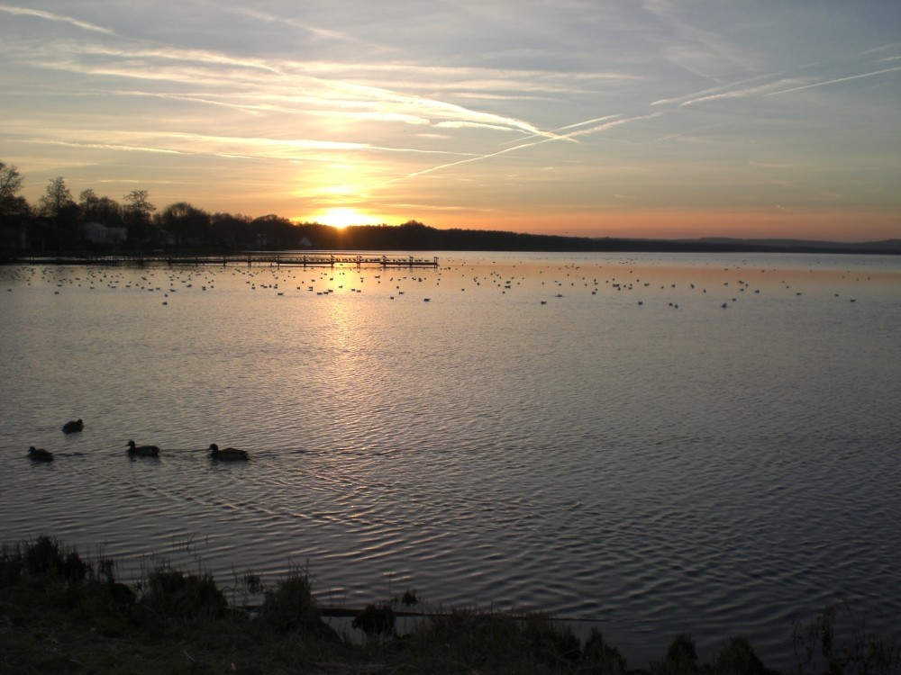 Steinhuder Meer am Abend (4)