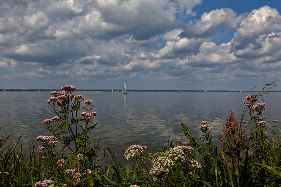 Steinhuder Meer