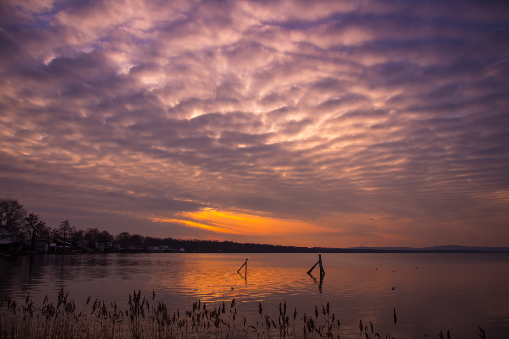 Steinhuder Meer bei Sonnenuntergang 