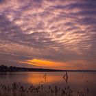 Steinhuder Meer bei Sonnenuntergang 