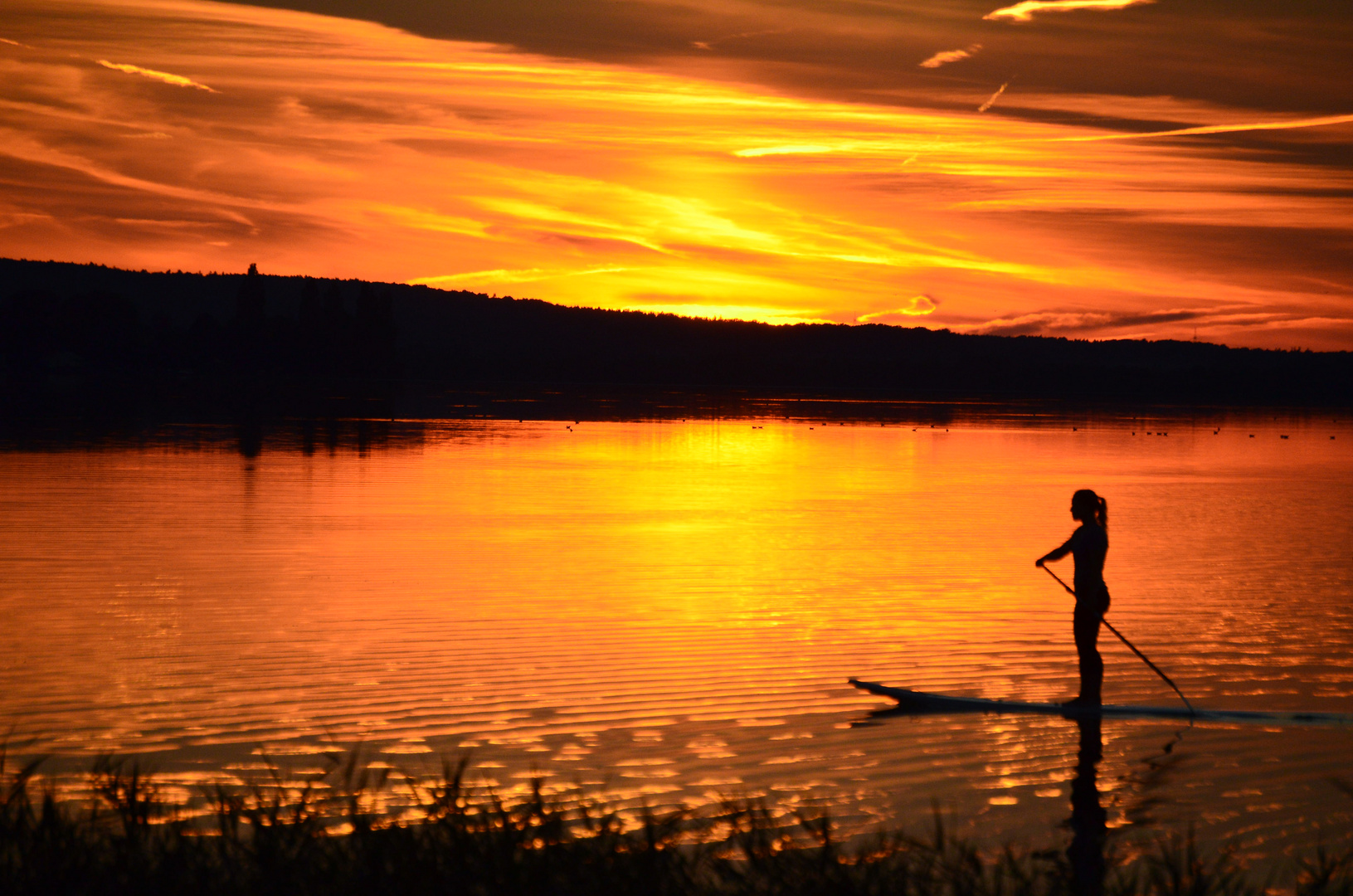 Steinhuder Meer bei Sonnenuntergang