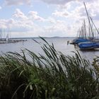 Steinhuder Meer Blick zum Segelboot Hafen