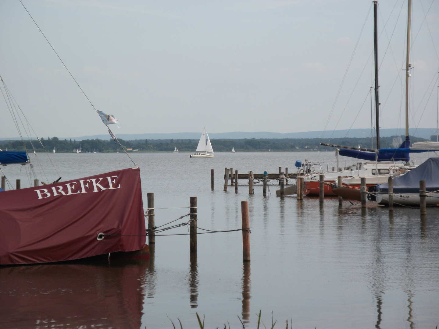 Steinhuder Meer