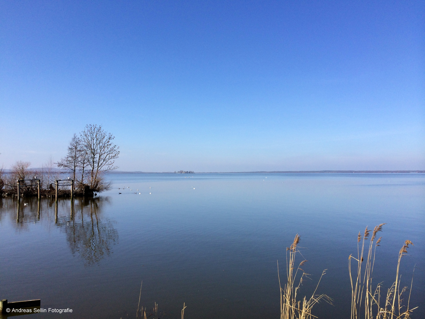 Steinhuder Meer