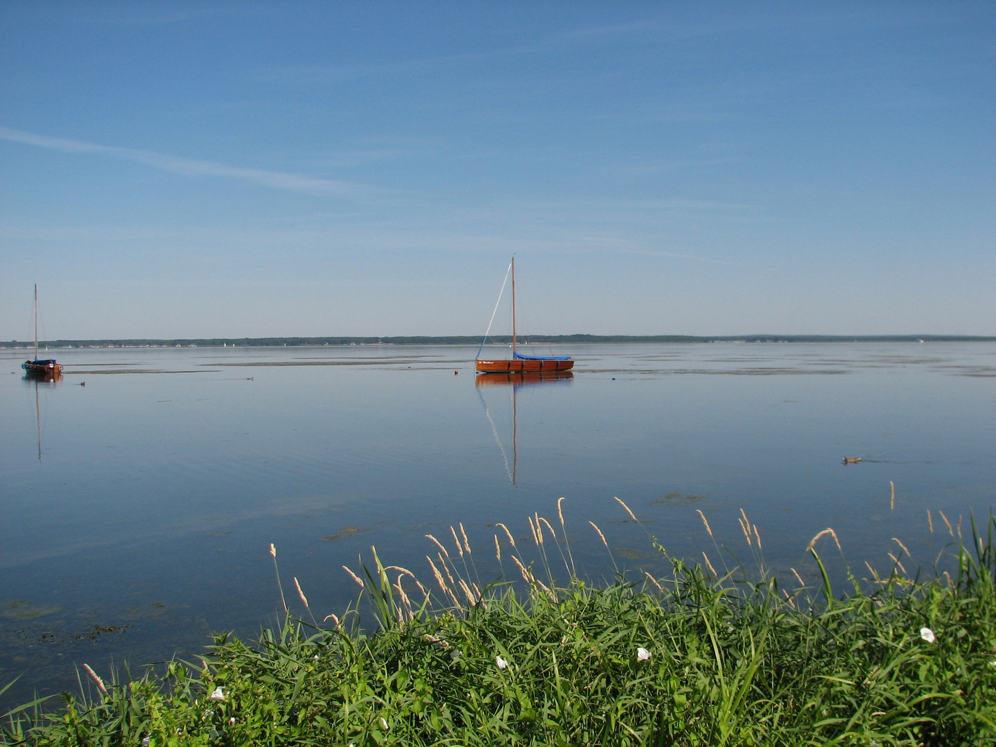 Steinhuder Meer