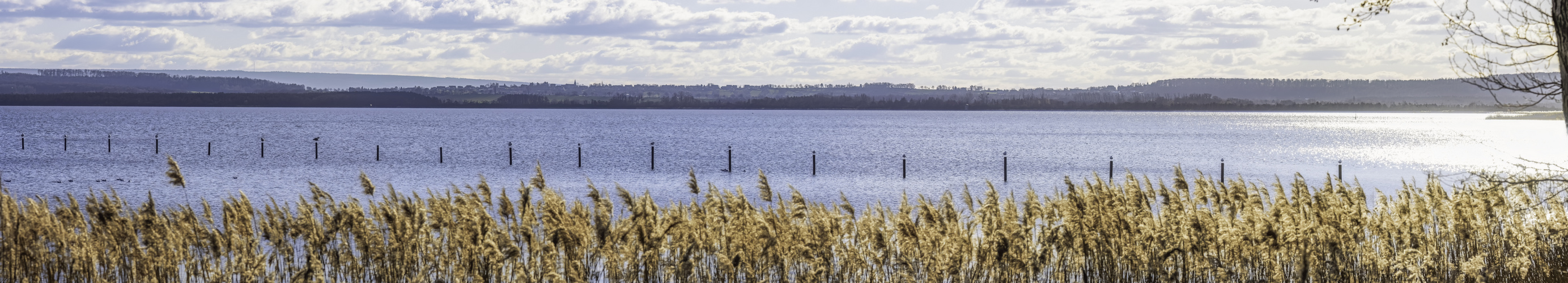 Steinhuder Meer