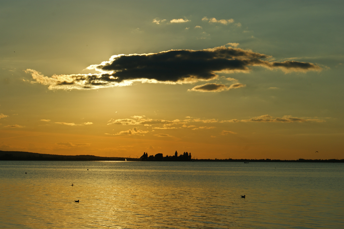 Steinhuder Meer - Goldener Abend