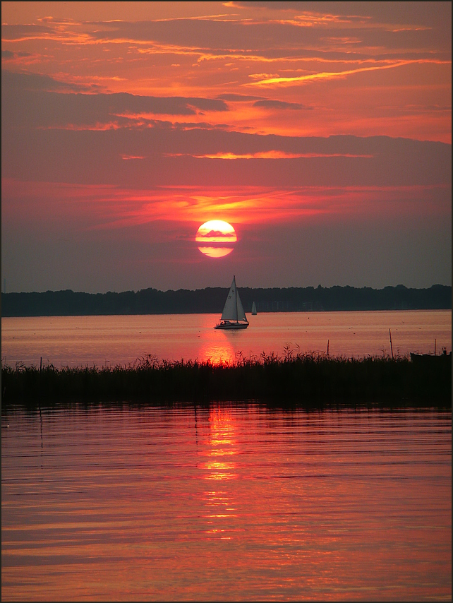 Steinhuder Meer II