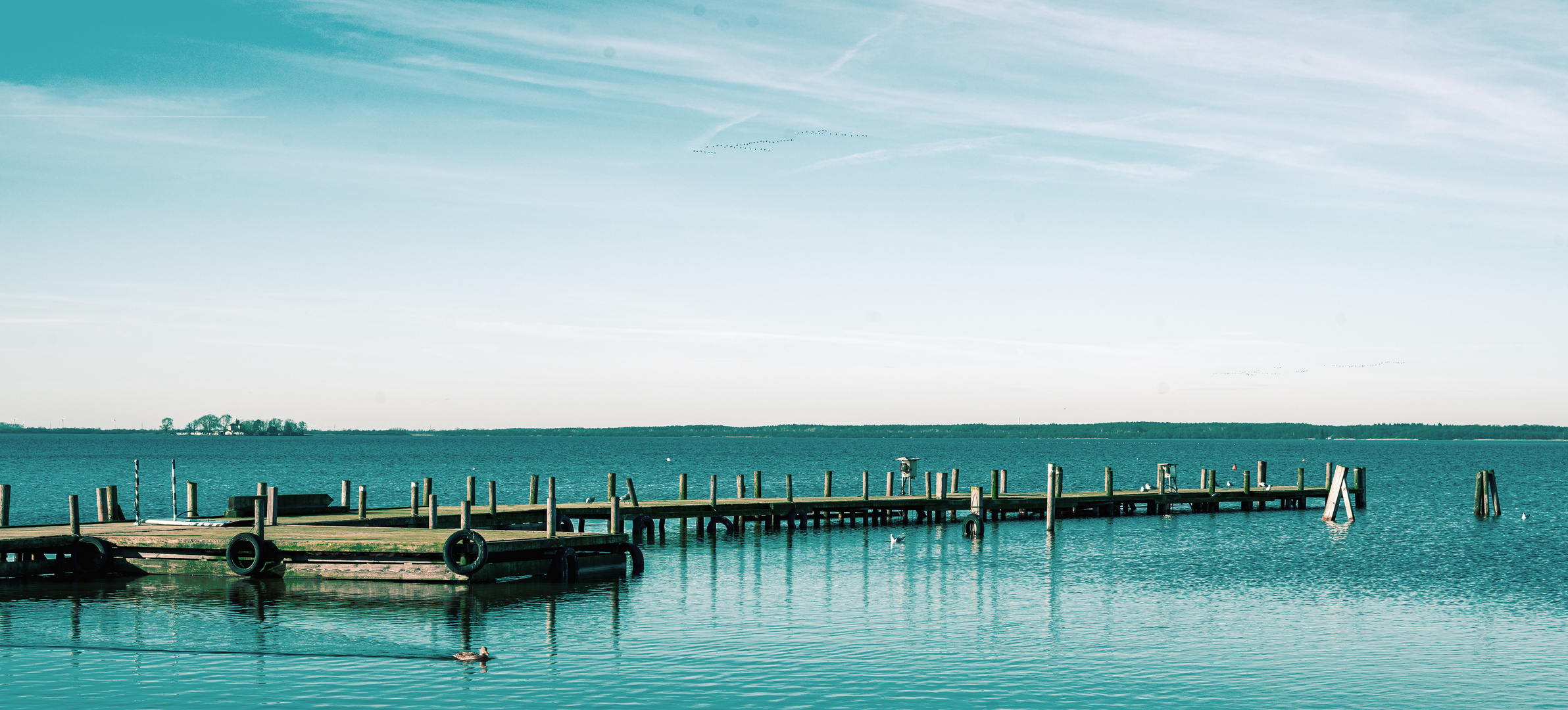 Steinhuder Meer im Januar