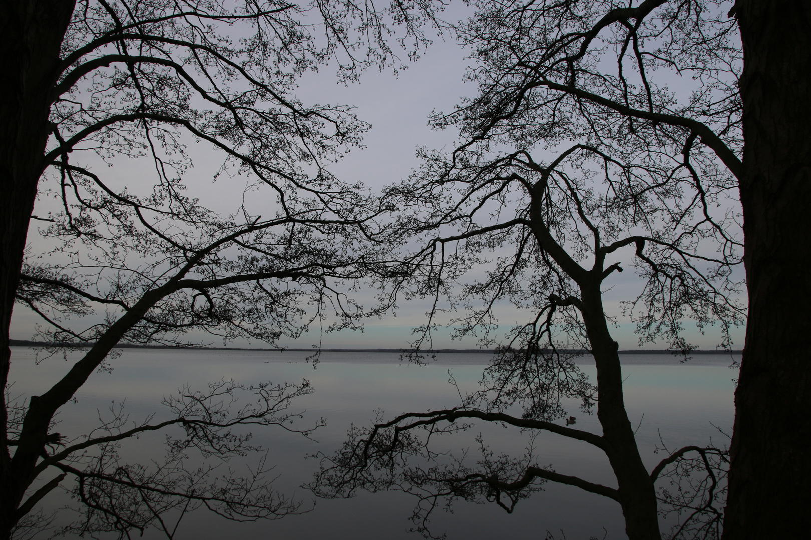 Steinhuder Meer im März