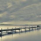 Steinhuder Meer im neuen Licht